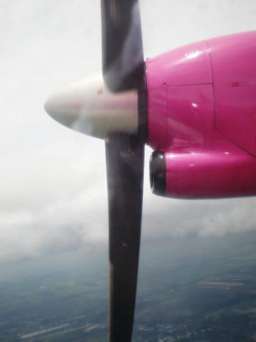 P7230099_resize.JPG